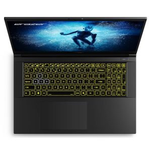 PORTATIL ERAZER DEFENDER P50I MD62681 I5-13420H 17" 16GB SSD1TB RTX4060 FREEDOS - MGS0000026612